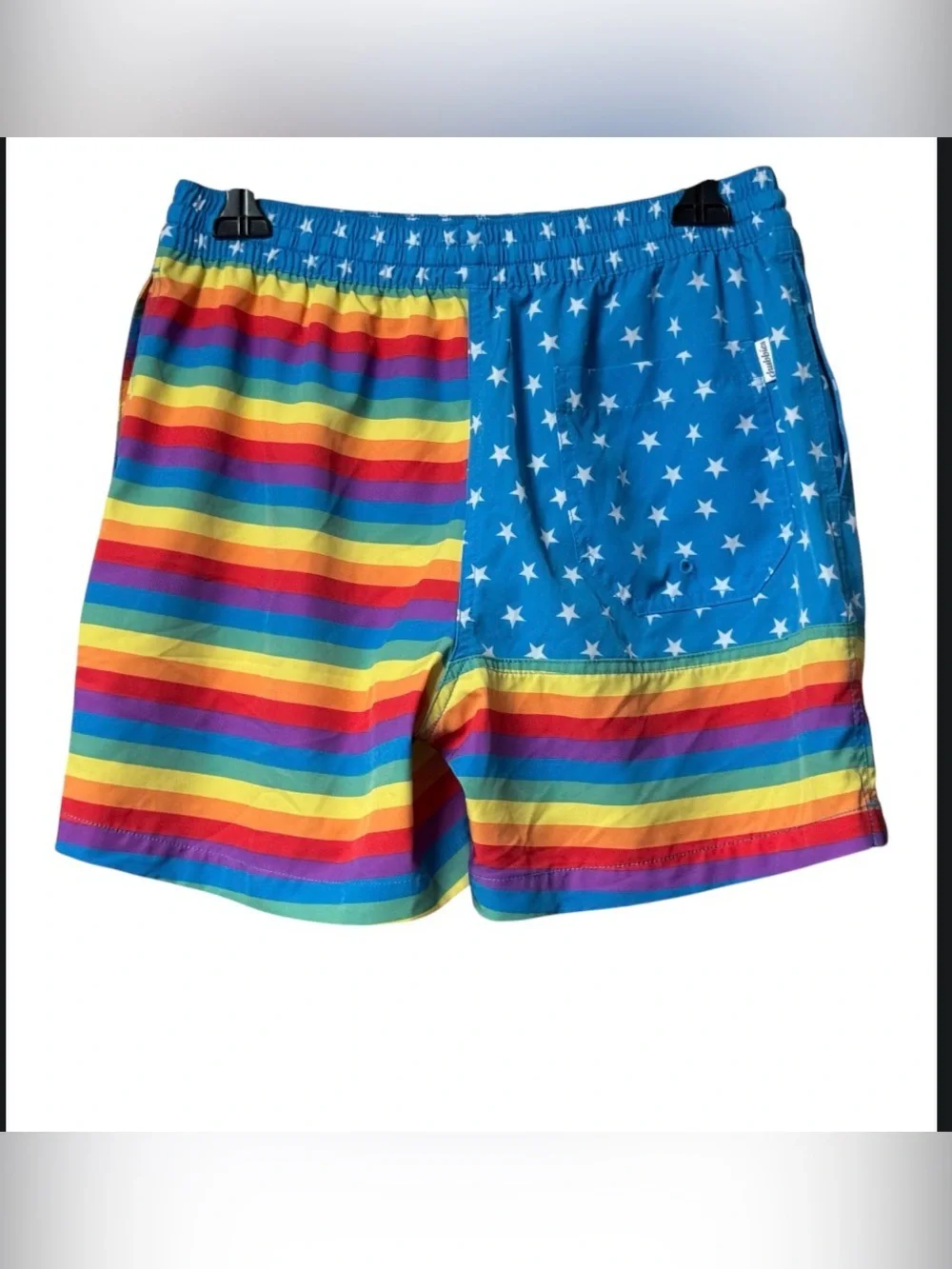 EUC Chubbies “Love is Love” Mens Swim Trunks  Shortie 4 Inch Pride Rainbow Short